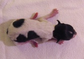 Enlarge photo 33