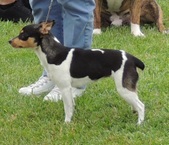 Enlarge photo 11