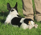 Enlarge photo 48