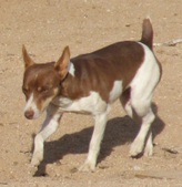 Enlarge photo 7