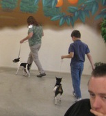 Enlarge photo 11