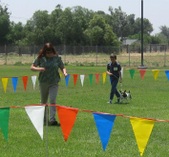 Enlarge photo 14