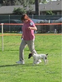 Enlarge photo 21