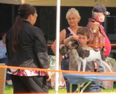 Enlarge photo 25