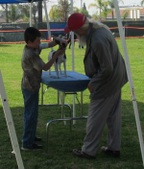 Enlarge photo 24