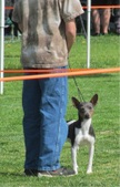 Enlarge photo 10