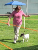 Enlarge photo 16