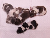New born