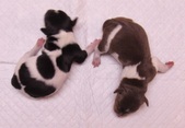 Enlarge photo 5