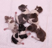 Enlarge photo 15