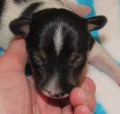 Enlarge photo 12
