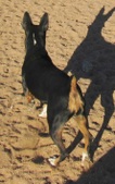 Enlarge photo 33