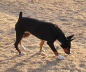Enlarge photo 25