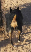 Enlarge photo 37