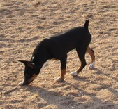 Enlarge photo 13