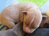 Enlarge photo 6