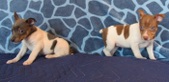 Enlarge photo 6