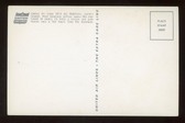 Enlarge photo 122