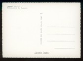 Enlarge photo 227