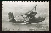 Enlarge photo 203