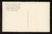 Enlarge photo 204