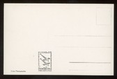 Enlarge photo 113