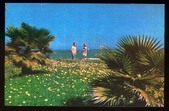 Enlarge photo 105