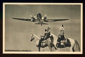 Enlarge photo 47