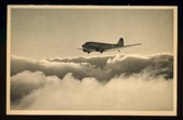 Enlarge photo 47