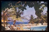 Enlarge photo 29