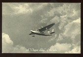 Enlarge photo 95