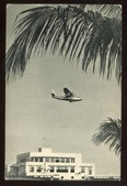 Enlarge photo 103