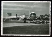 Enlarge photo 199