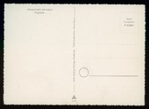 Enlarge photo 202