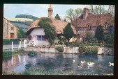 Enlarge photo 51