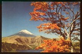 Enlarge photo 107