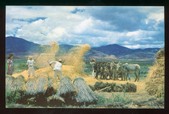Enlarge photo 37