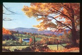 Enlarge photo 75