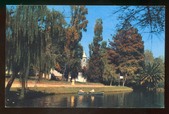 Enlarge photo 82