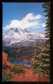 Enlarge photo 129
