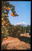 Enlarge photo 125