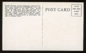 Enlarge photo 10