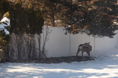 Enlarge photo 18