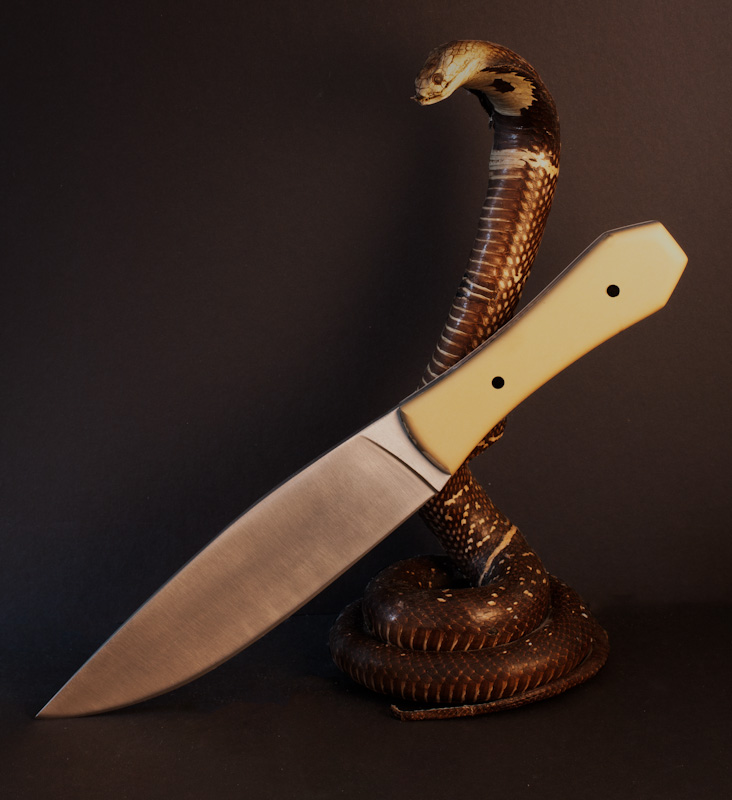 1_21_SnakeEyesBowie-_zps526ff753.jpg