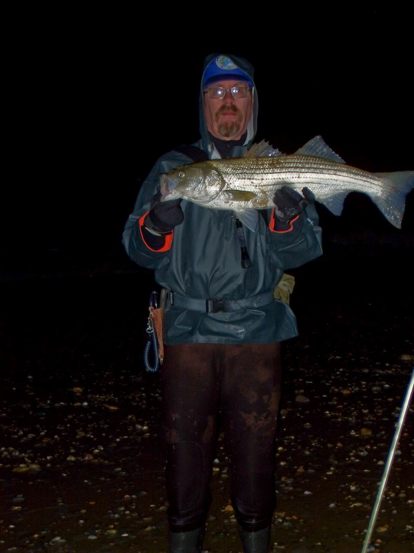 M2010Fish2.jpg