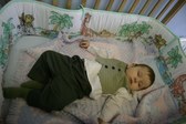 Enlarge photo 19