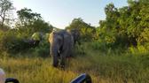 South Africa 2017