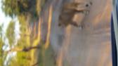 Enlarge MPEG4 6