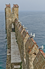 Enlarge photo 35