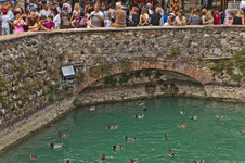 Enlarge photo 36